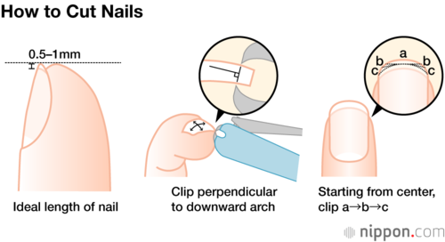 How to Cut Nails
