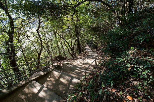 往路の登り坂は少しきついが、景色を楽しみながら歩けばあっという間