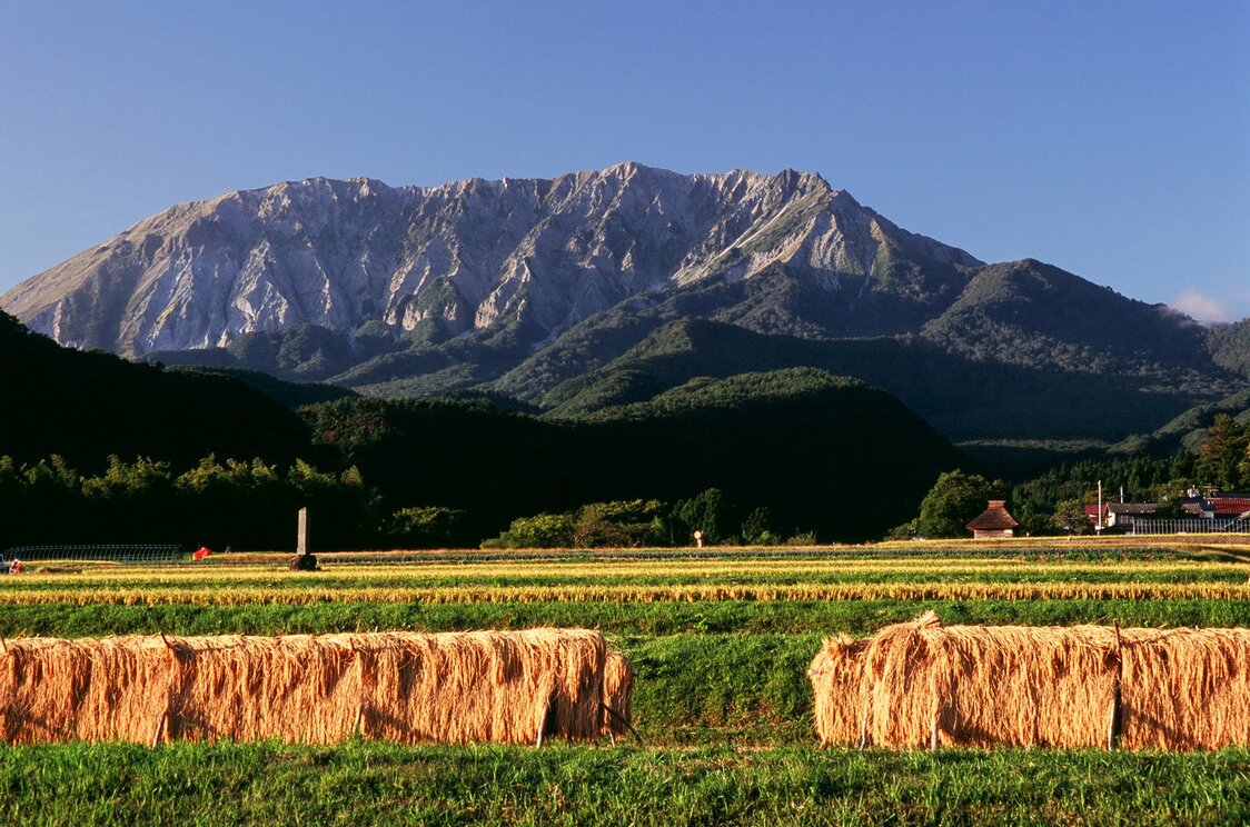 An autumn view of Mount Daisen from the town of Kōfu, with sheaves of rice drying in the fields. (Courtesy Tottori Prefecture)