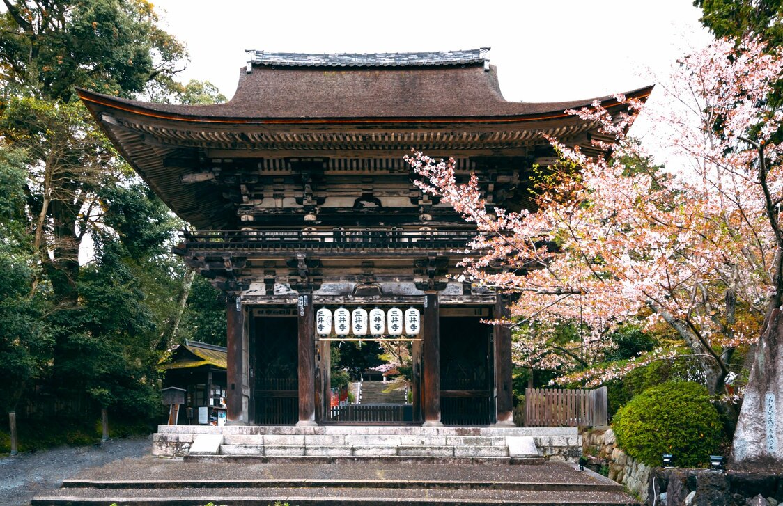 三井寺位于琵琶湖西南部的长等山山腰处，占地面积广阔。正式名称为“长等山园城寺”，是西国三十三所观音灵场的第14号札所（供奉护身符的场所——译注）。这里是著名的赏樱胜地，“三井晚钟”是近江八景之一（图片：滋贺县）