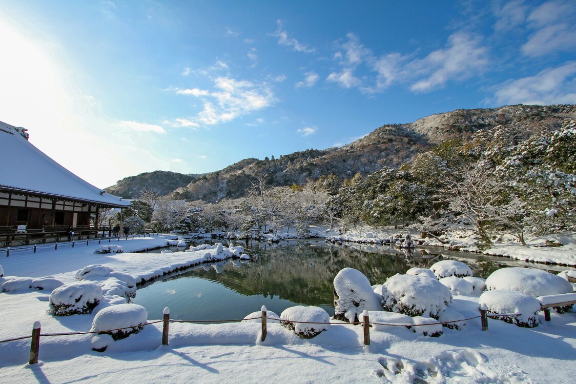 Jardin en camaïeu de blanc. Paysage rare, il est peu fréquent que la neige ne recouvre la région de son blanc manteau.