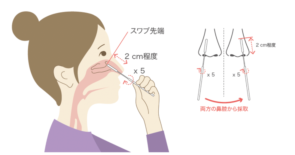 检测盒的说明