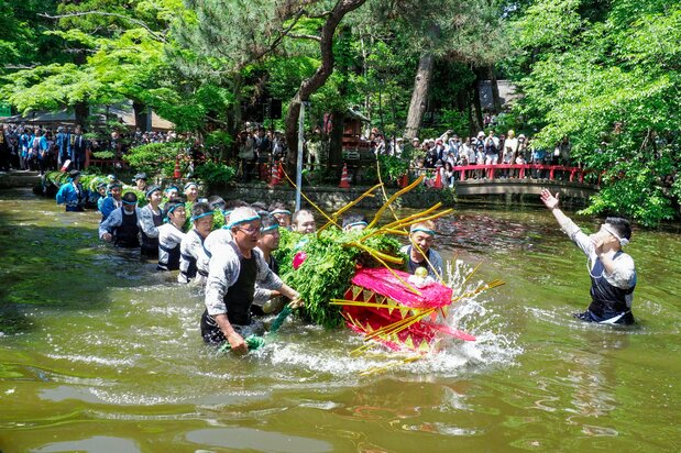 栃木・間々田八幡宮(ままだはちまんぐう)の「じゃがまいた」(5月5日)は、巨大な蛇体が境内の池を泳ぐ。由来は雨乞いの儀式で、同様の祭りは各地に残る