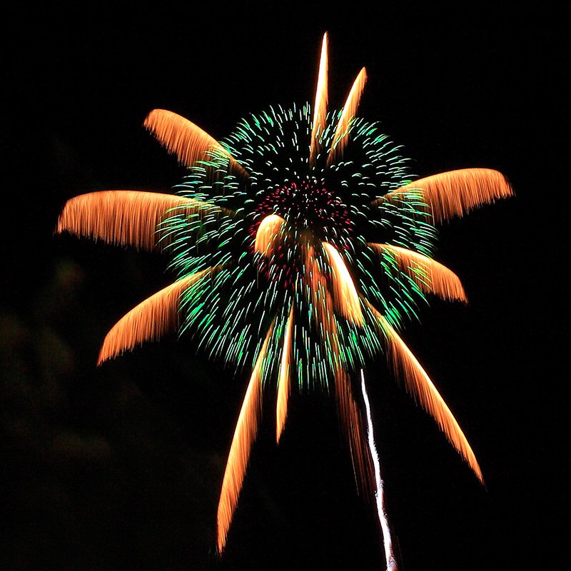 “Fuegos artificiales en forma de crisantemo entre palmeras”; ciudad de Nagano (prefectura de Nagano), durante la Competición de Fuegos Artificiales de Nagano Ebisu