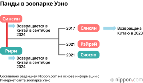 Панды в зоопарке Уэно