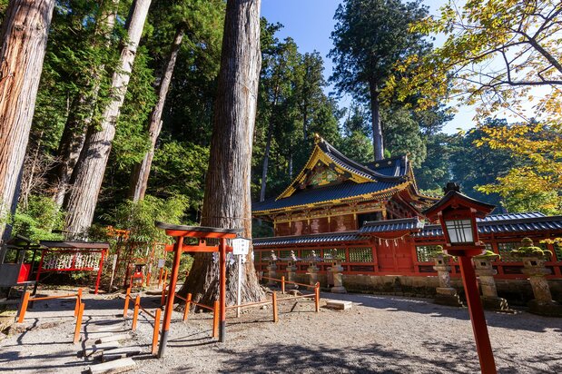 The honden hall viewed from the Shin’en garden. The fence surrounding it is also designated as an important cultural property. The large tree at center is an object of veneration at the shrine, while the bamboo-grass grove at back left is a popular stop for people hoping to meet the perfect partner.