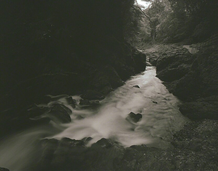 岩户川的清流(摄影:大坂宽)