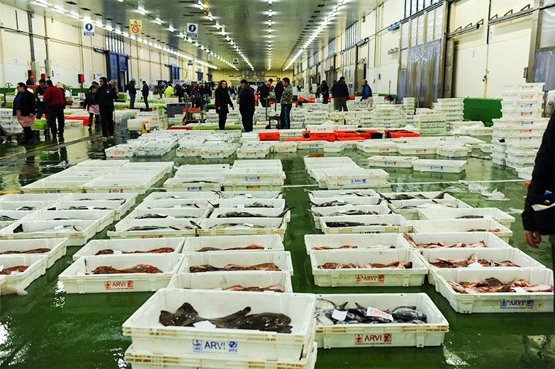 Vigo’s central fish market, where catches from the Atlantic are auctioned to wholesalers.