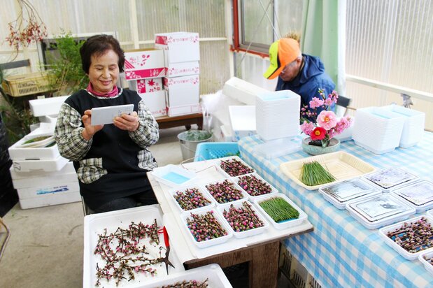 平均70歳を超える農家がネットを通じて市場情報にアクセス