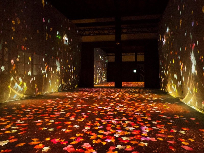En marchant sur le plancher, les feuilles automnales s’éparpillent dans une danse féérique.