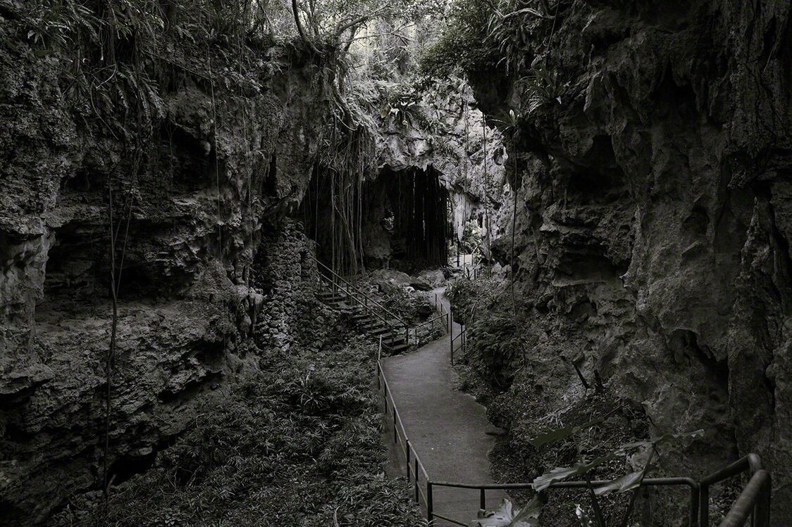 Giant trees growing from the cliff face overlook a place of prayer. (© Ōsaka Hiroshi)