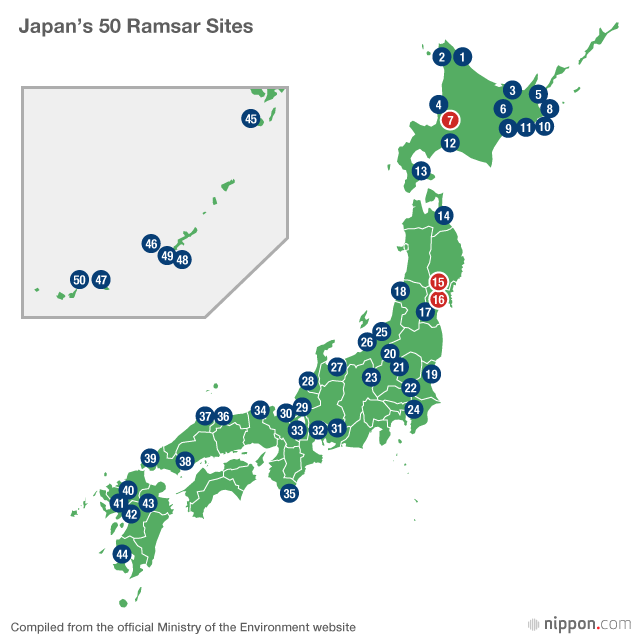 Prized Visitors or Pests? Learning to Live with Japan’s Wild Geese