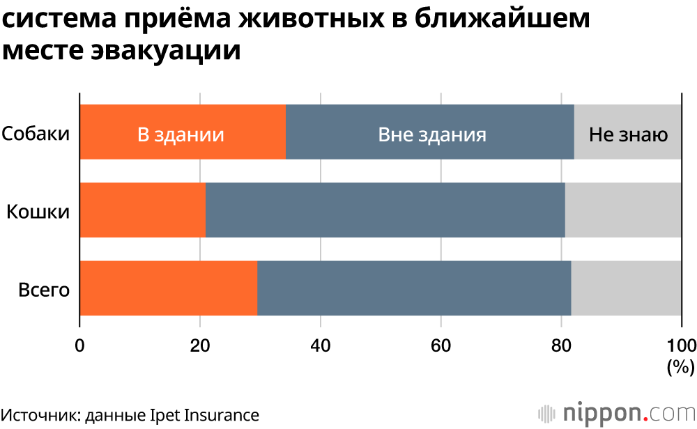 Что делать с домашними любимцами во время стихийного бедствия? Данные опроса показывают: не все владельцы готовы ответить на этот вопрос