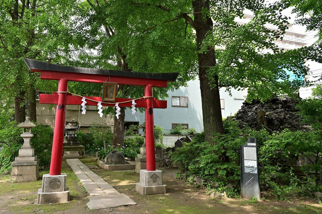 本殿の裏手には浅間神社があり、その傍らには富士塚が築かれている