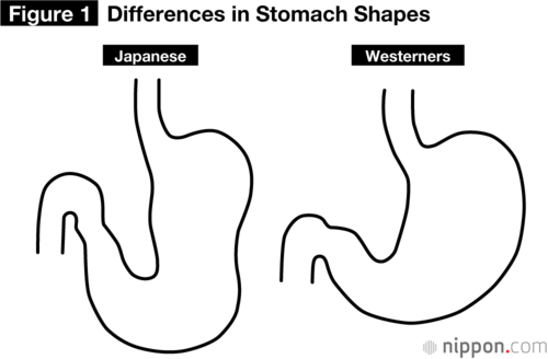 The Japanese stomach is adapted to consumption of grain.