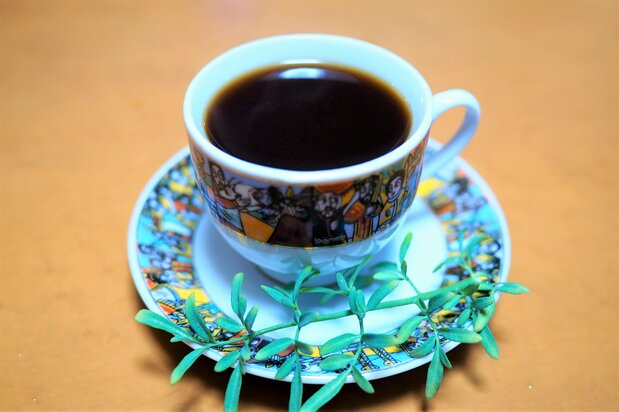 香り高いエチオピア式コーヒー。添えられるのは香草の一種。カップに浸せばコーヒーの風味が変わる 写真=渕貴之