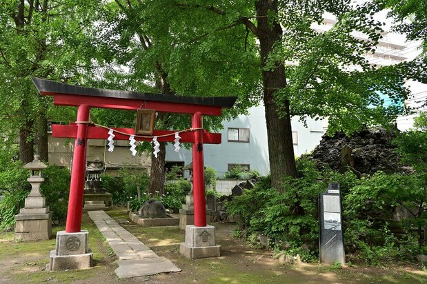 本殿の裏手には浅間神社が祀られ、その傍らには富士塚が築かれている