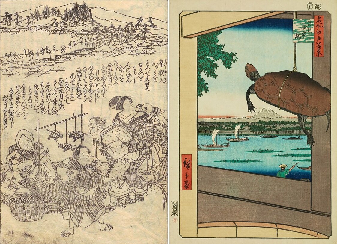 （左）路上で亀を紐で吊るして売る商人。『五節供稚童講釈』国立国会図書館所蔵／（右）『名所江戸百景 深川萬年橋』は、販売されている亀のクローズアップが有名な広重の作品。出典:colbase