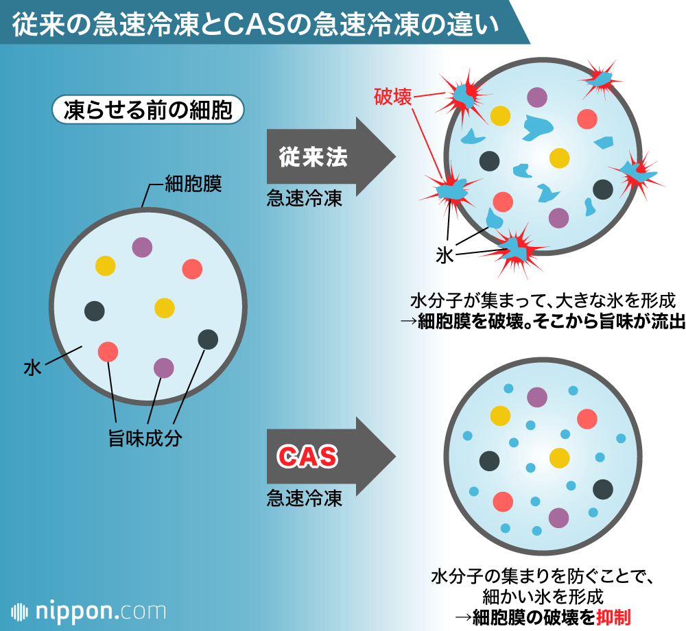 冷凍技術の革命児 大和田哲男：味のタイムマシンが地球を救う!?