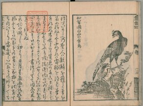 江戸時代のライチョウ飼育の試みを記した『震雷記(しんらいき)』(1767年/国立国会図書館デジタルコレクション)