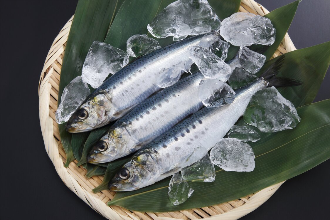 近年、水揚げも好調なイワシ。小骨が多く、アニサキスの心配もあることから食卓では敬遠されがちになっていた　写真：PIXTA