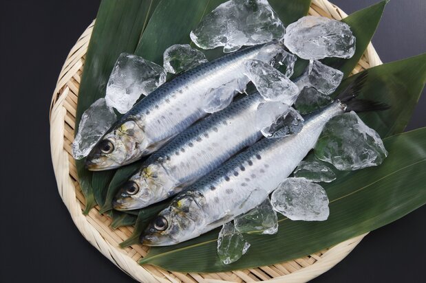 近年、水揚げも好調なイワシ。小骨が多く、アニサキスの心配もあることから食卓では敬遠されがちになっていた 写真:PIXTA