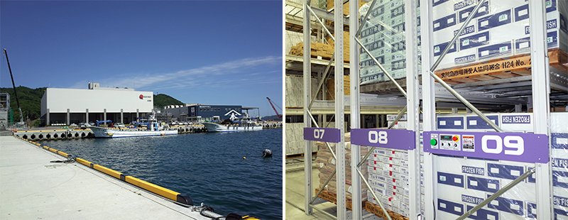 女川港の復旧はかなり進んでいる。左の白い建物が多機能水産加工施設「マスカー」。その名はカタールの伝統漁法にちなんでいる。施設内の冷蔵・冷凍貯蔵室は、マイナス30度に保たれていた。10秒もいると、体が凍えて震えてくるような寒さだ。