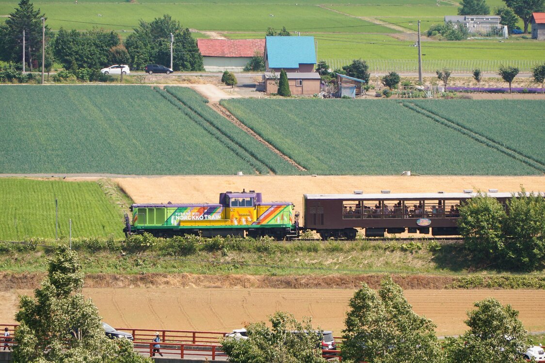 のどかな田園風景を満喫できるJR富良野線の臨時列車「富良野・美瑛ノロッコ号」