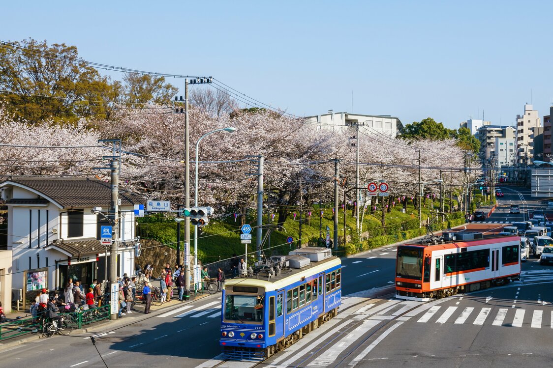 徳川吉宗によって桜が植えられた地で、江戸の「花見文化発祥の地」といわれる