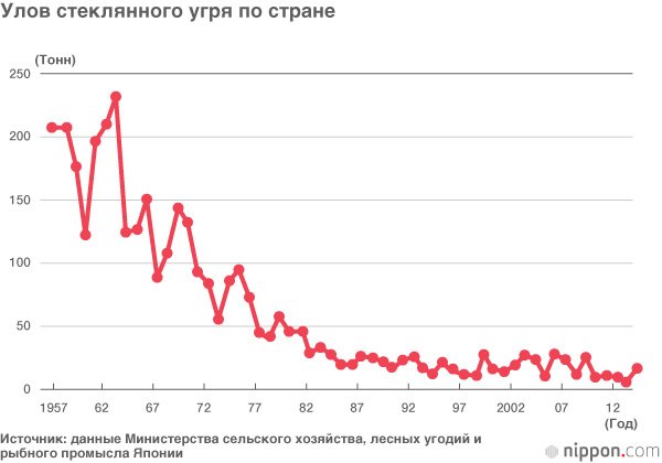 Японский угорь под угрозой исчезновения
