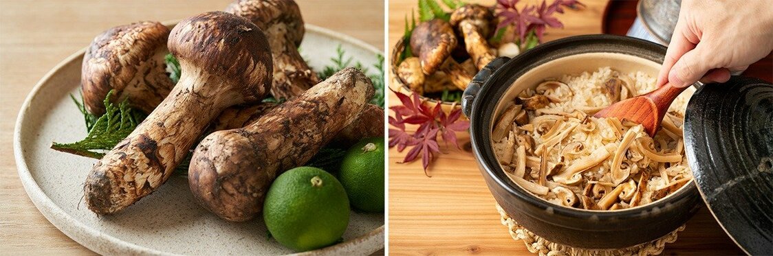 マツタケ（左）、マツタケご飯（PIXTA）