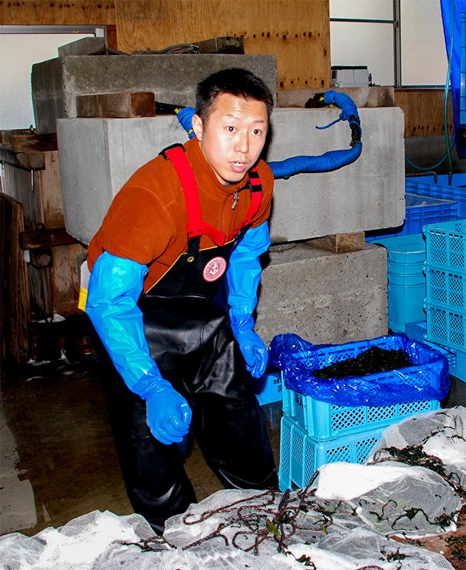 Abe Shōta, secretario de Fisherman Japan, está muy ocupado con su trabajo principal, el cultivo de alga wakame.
