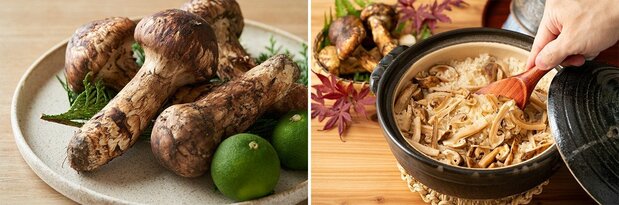 Matsutake (left) and matsutake steamed rice. (© Pixta)
