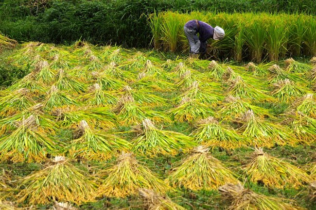 大分縣玖珠町　9月