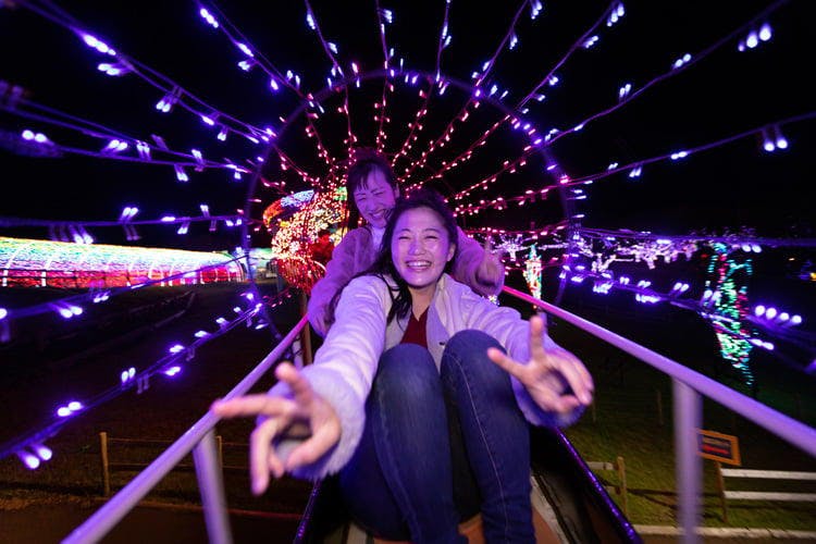 Expert Opinion: Five Must-See Light Displays in Japan