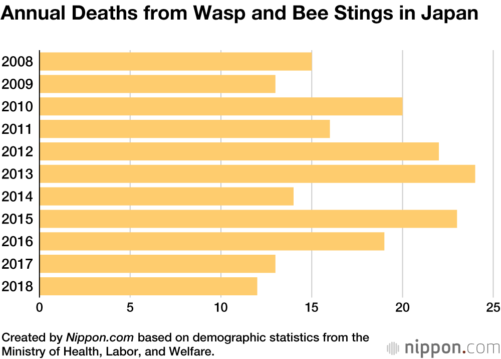 Wasps in Japan Deadlier to Humans than Bears or Poisonous Snakes