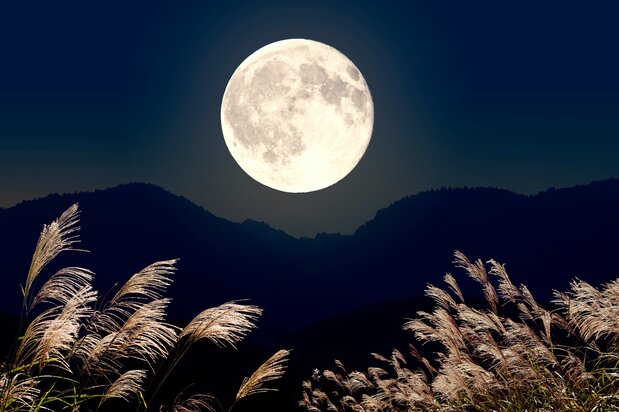 Una luna llena en el despejado cielo otoñal sobre hierba susuki. (© Adobestock)