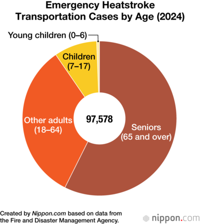 Emergency Heatstroke Transportation Cases by Age (2024)