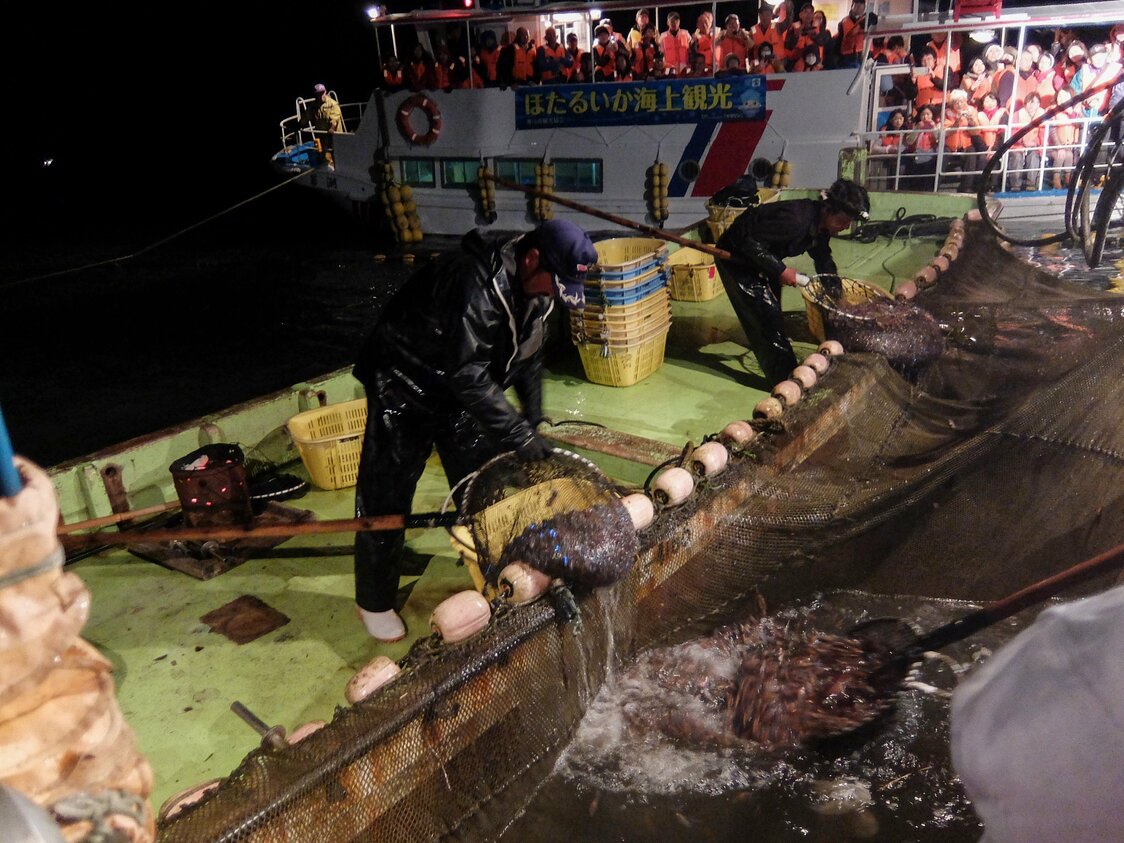 網の中でも青く光っているホタルイカ。奥には乗客満載の海上観光船が見える　写真：時事