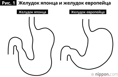 Желудок японца приспособлен для переваривания злаковых культур.