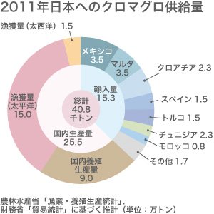 危機に瀕する太平洋クロマグロ