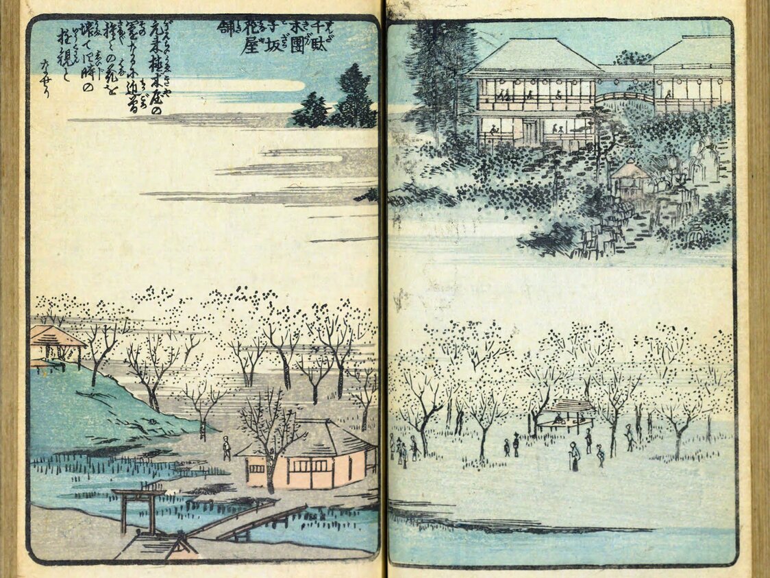 広重著『絵本江戸土産』第七編（1857年頃刊、国会図書館蔵）の「千駄木団子坂花屋舗」は、名所江戸百景と同じ時季、同じ場所から眺めている。右ページの構図は名所江戸百景と酷似する