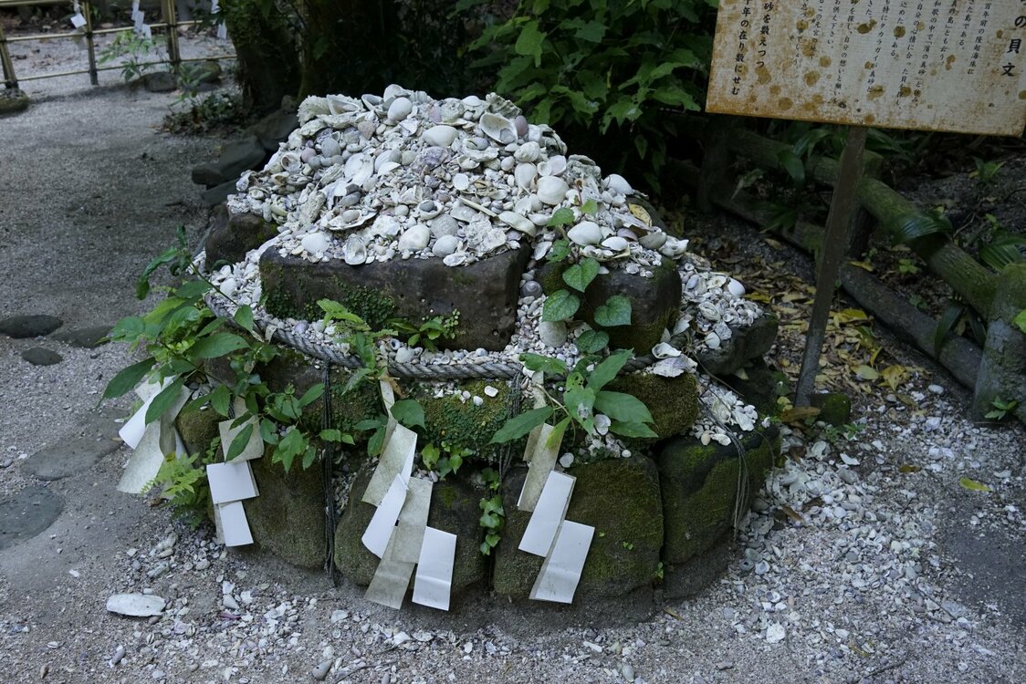 Un rocher couvert de coquillages sur le site du sanctuaire (à l’emplacement de l’ancienne salle principale du lieu saint).