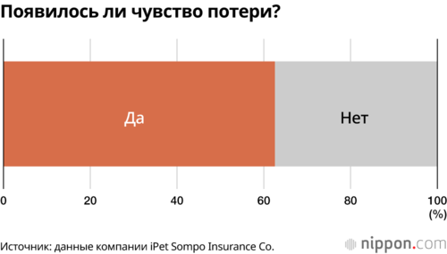 Появилось ли чувство потери?