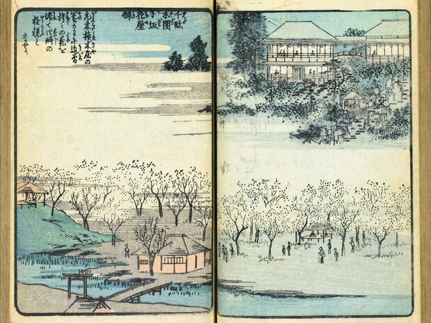 広重著『絵本江戸土産』第七編(1857年頃刊、国会図書館蔵)の「千駄木団子坂花屋舗」は、名所江戸百景と同じ時季、同じ場所から眺めている。右ページの構図は名所江戸百景と酷似する