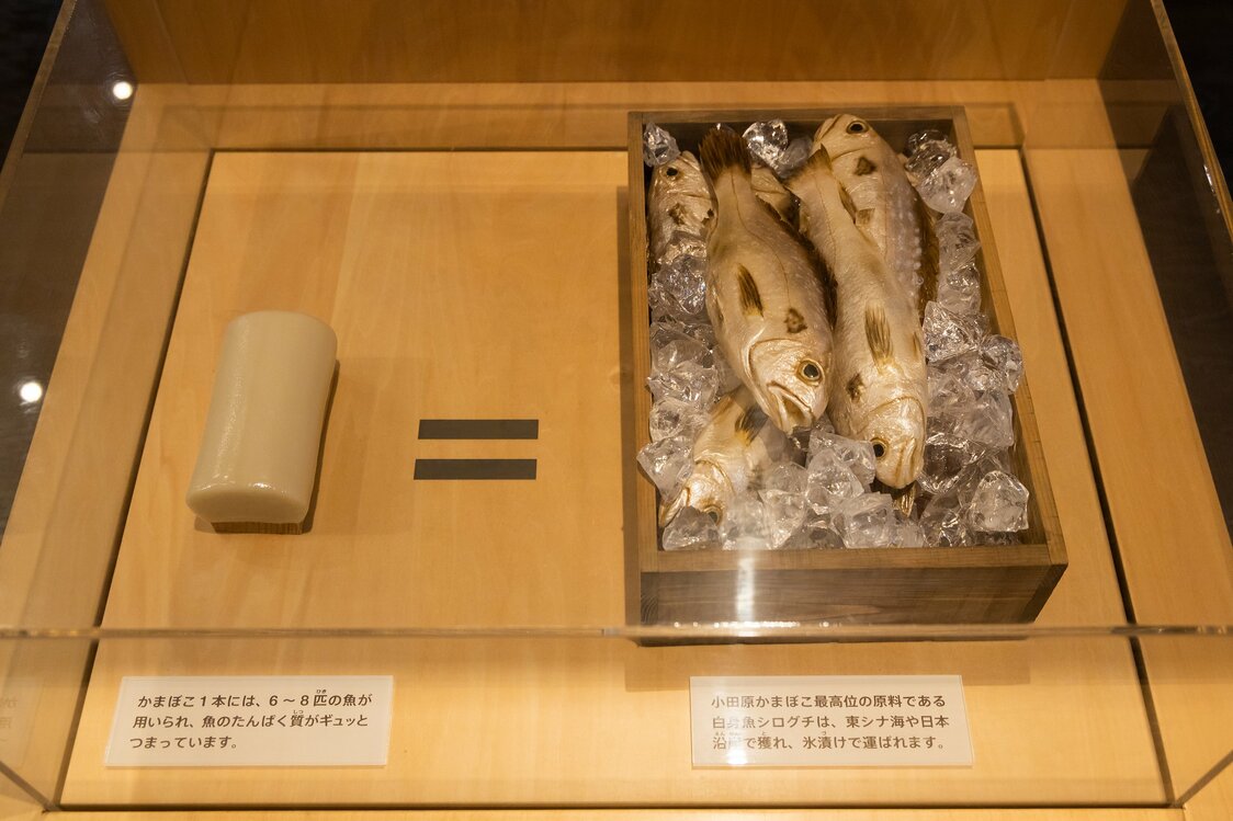 一只“古今”鱼糕里饱含了7条鱼的营养