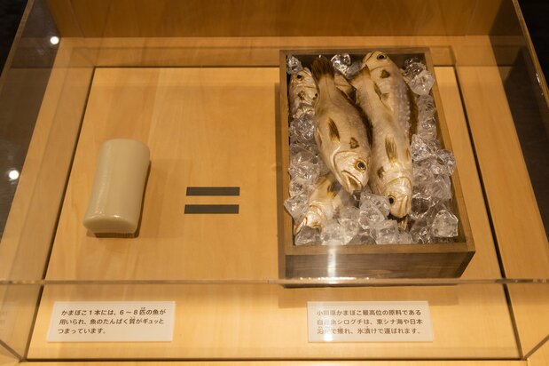 一只“古今”鱼糕里饱含了7条鱼的营养