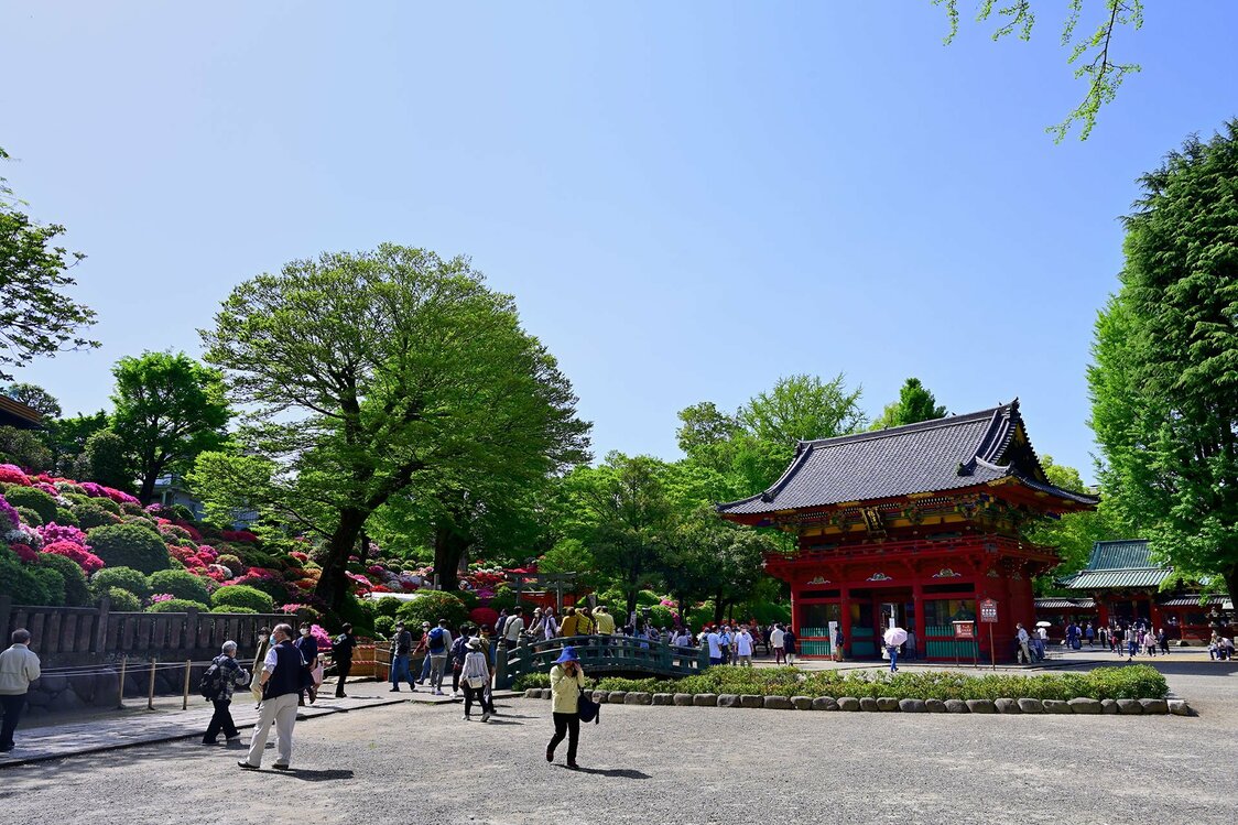つつじまつり開催中の春の根津神社。根津神社は、6代将軍家宣が生まれた甲府徳川家下屋敷跡地に団子坂上から遷座した。楼門の右奥に拝殿、幣殿、本殿が並び、全て国の重要文化財に指定される