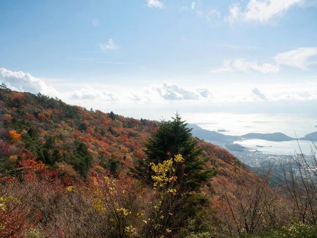 从星城山东峰眺望的风景
