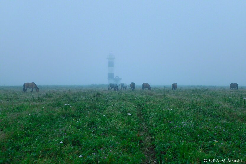 Summers are shrouded in fog, August 2013. (© Okada Atsushi)